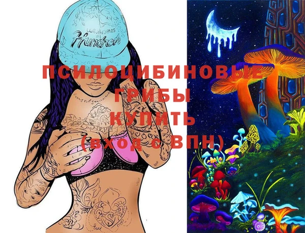 индика Нефтекумск