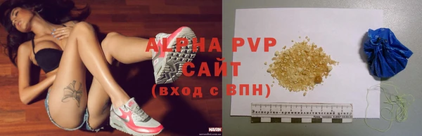 индика Нефтекумск