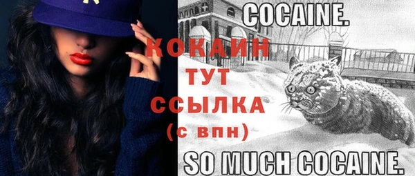 индика Нефтекумск