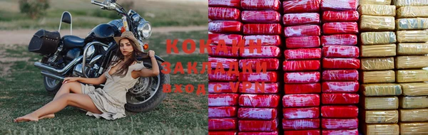 индика Нефтекумск