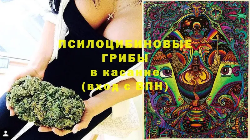 Псилоцибиновые грибы GOLDEN TEACHER  Калач-на-Дону 