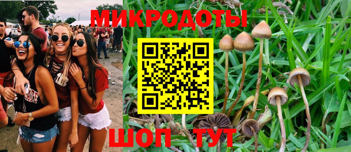 Псилоцибиновые грибы Psilocybe  Галлюциногенные грибы мухоморы  Калач-на-Дону  Вход с VPN 